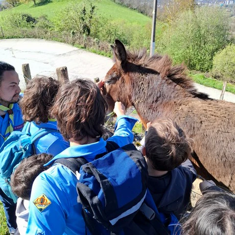 Scouts acariciando a un burro